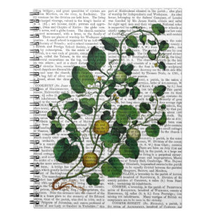 Squash Vine 4 Notizblock