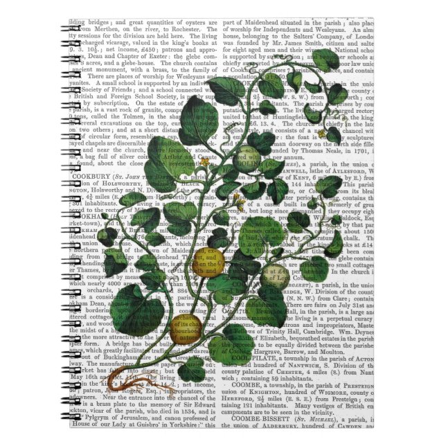 Squash Vine 4 Notizblock (Vorderseite)