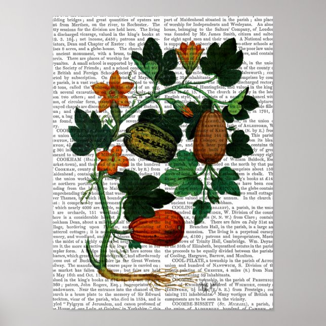 Squash Vine Poster (Vorne)