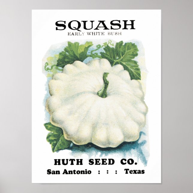 Squash-Vintage Saatpackung Poster (Vorne)