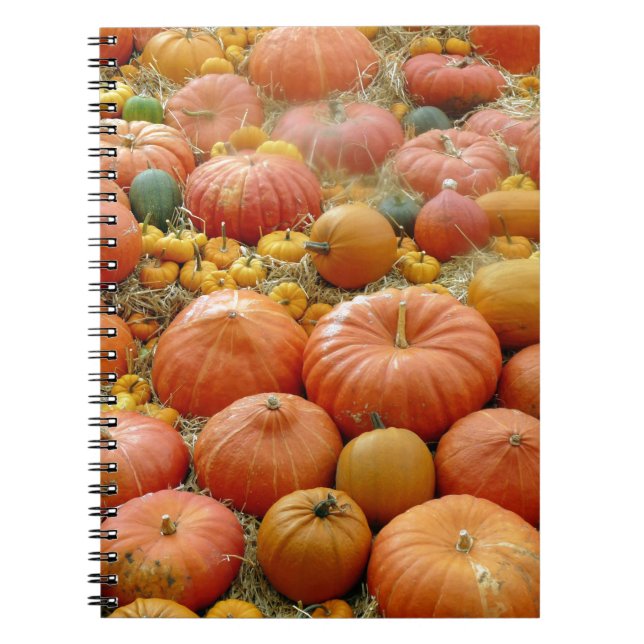 Squashes Galore Notizblock (Vorderseite)