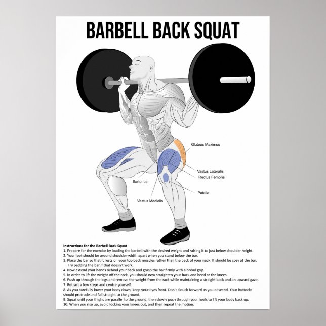 Squat - Übung - Diagramm der Muskelanatomie Poster (Vorne)