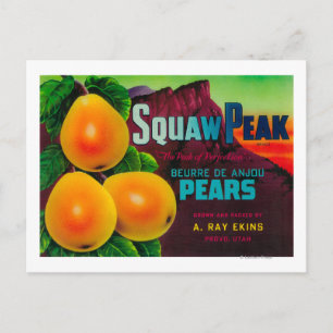 Squaw Peak Pear Crate LabelProvo, UT Postkarte
