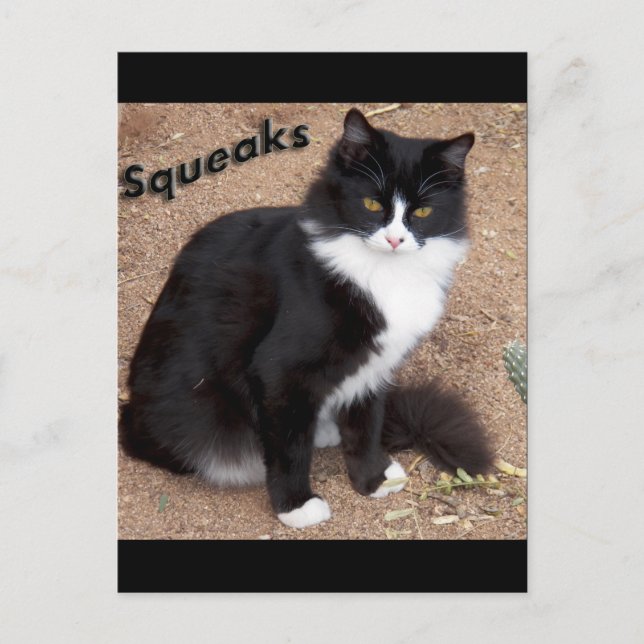 Squeaks Postkarte (Vorderseite)