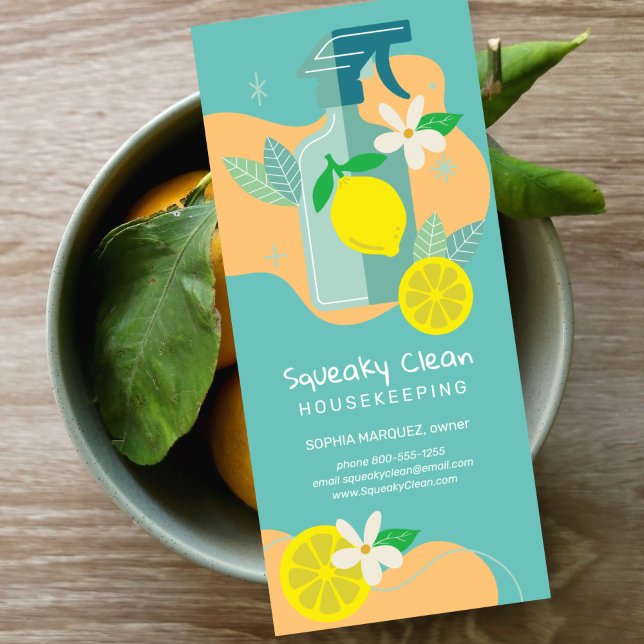 Squeaky Clean Marketing Werbekarte (Von Creator hochgeladen)