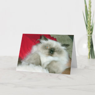 Squinty Himmy Birthday Card Karte