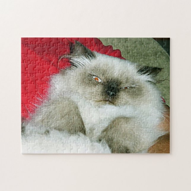 Squinty Himmy Puzzle (Horizontal)