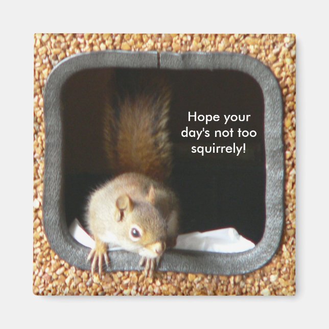 Squirly Magnet (Vorne)