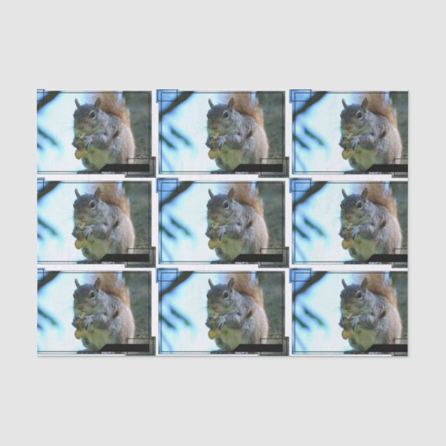squirrel-13.jpg seidenpapier (Vorderseite)