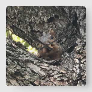 Squirrel Clock Quadratische Wanduhr