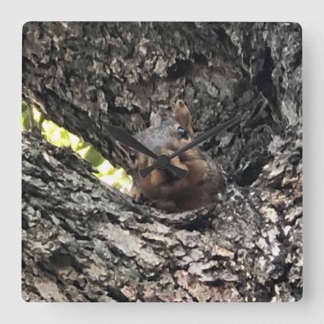 Squirrel Clock Quadratische Wanduhr (Vorderseite)