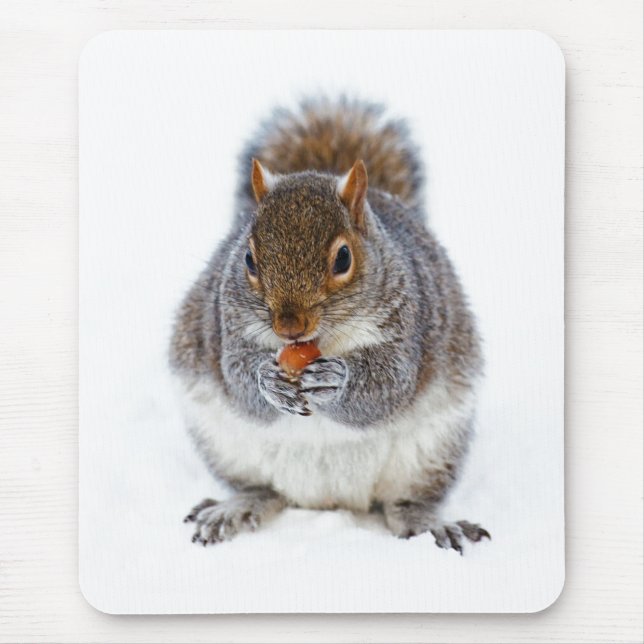 Squirrel Eating a Nut Cute Winter Photo Mousepad (Vorne)
