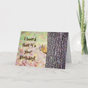 Squirrel Funny Birthday Card Karte