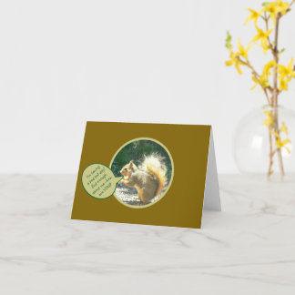 SQUIRREL/HABEN SCHLECHTER SCHWANZ TAG/HUMOROUS/WIE KARTE