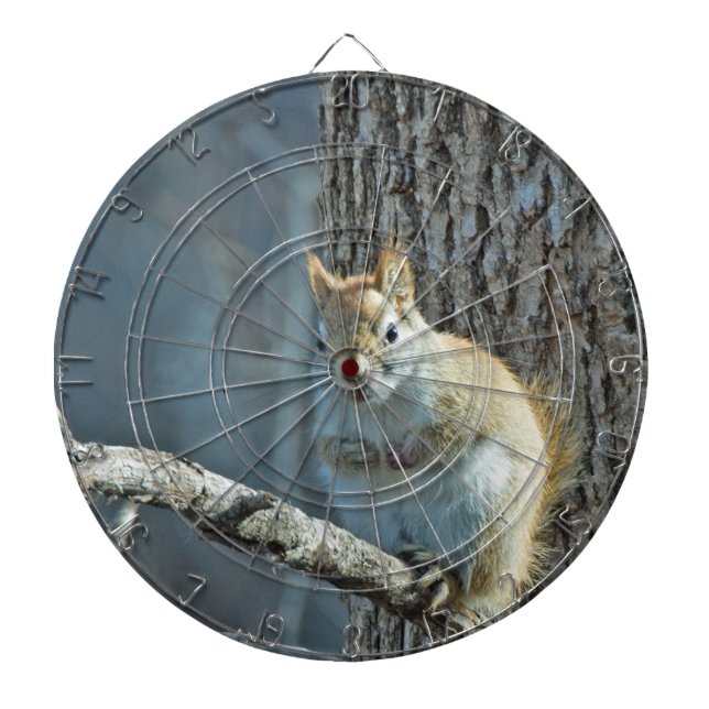 Squirrel Haters Dartboard Dartscheibe (vorne)