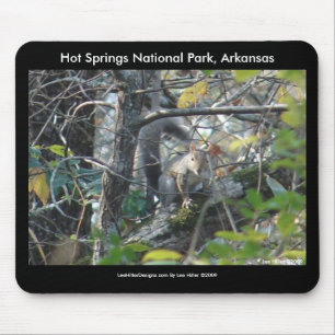 Squirrel Hot Springs Nat'l Park Mt., AR Peak Trail Mousepad