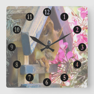 Squirrel In A Birdhouse Quadratische Wanduhr