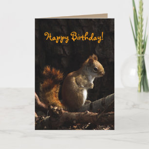 Squirrel in Sunlight Birthday Karte