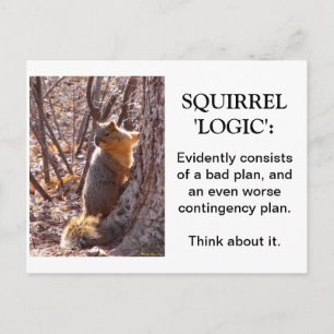 Squirrel Logic Postkarte