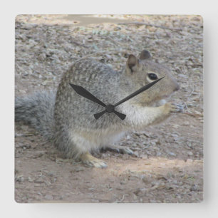 Squirrel Lover Photo Adorable Gray Forest Animal Quadratische Wanduhr