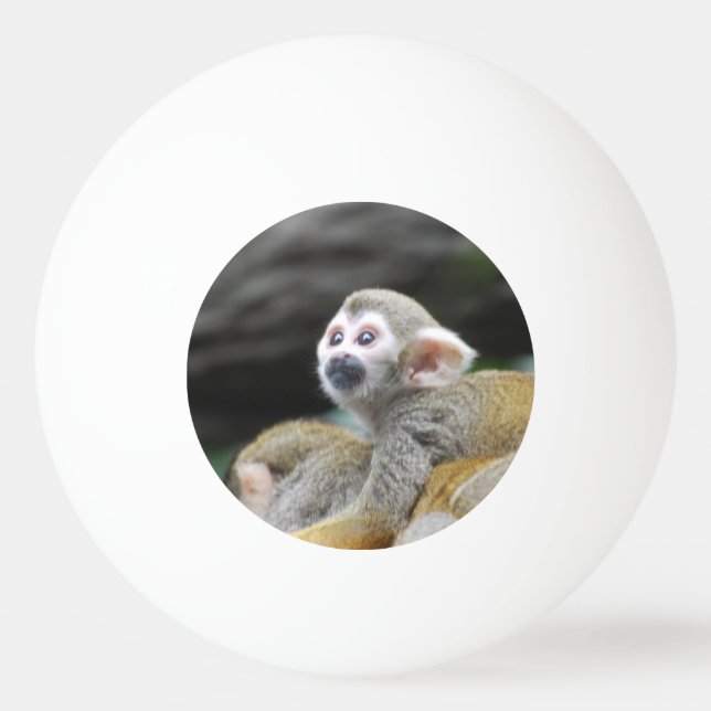 squirrel-monkey-39.jpg tischtennisball (Vorderseite)