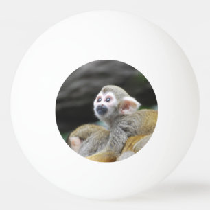 squirrel-monkey-39.jpg tischtennisball