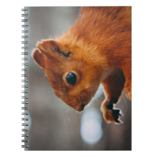 SQUIRREL ON TREE TRUNK NOTIZBLOCK