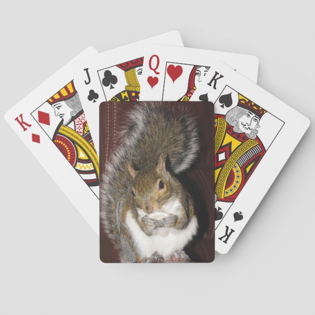 Squirrel Playing Cards Spielkarten (Rückseite)