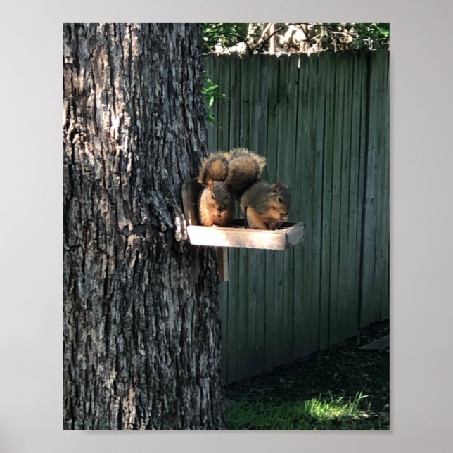 Squirrel Poster (Vorne)