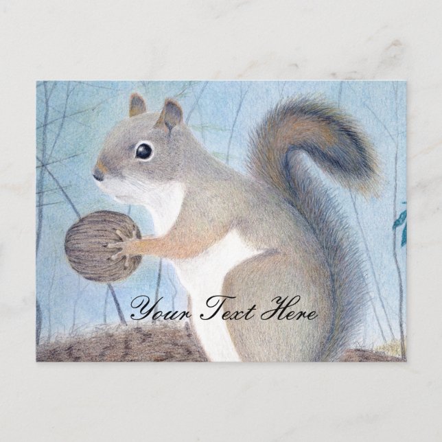 Squirrel Postkarte (Vorderseite)