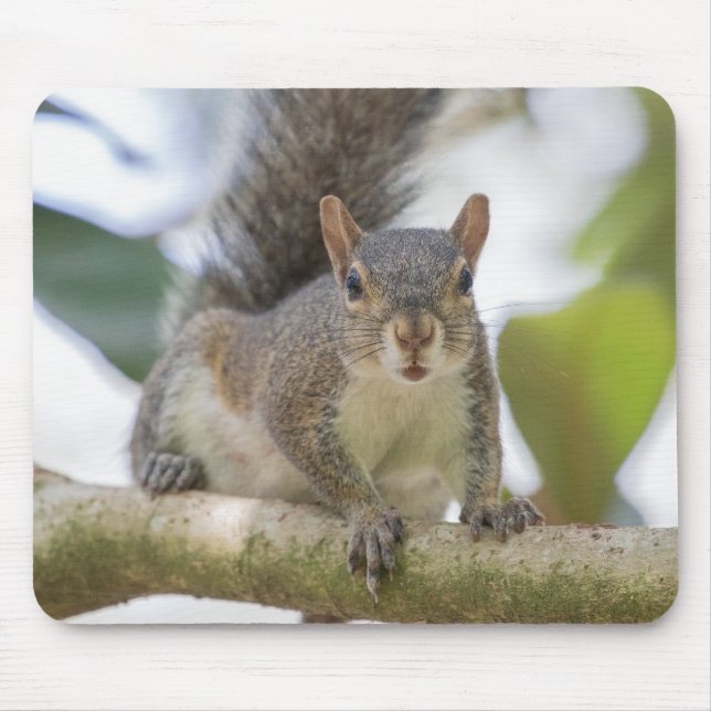Squirrel Selfie Mousepad (Vorne)