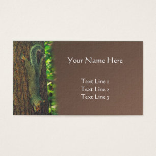 Squirrel Upside Down Animal Nature Art