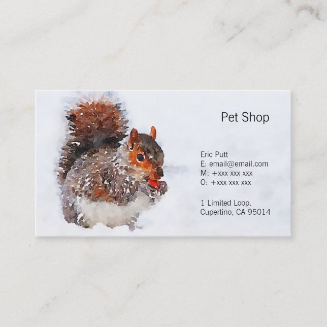 Squirrel Visitenkarten, 3,5" x 2,0", 100 Satz Visitenkarte (Vorderseite)