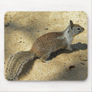 Squirrell Mousepad