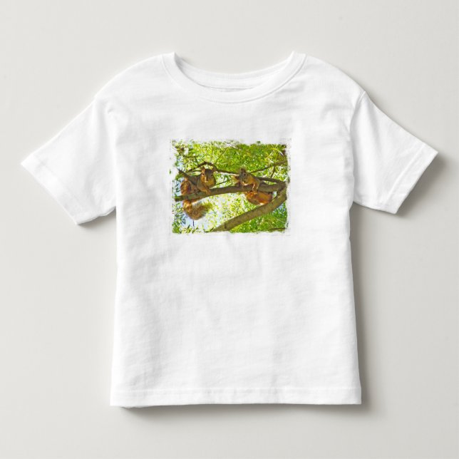 Squirrels den T - Shirt des aufpassenden Kindes (Vorderseite)