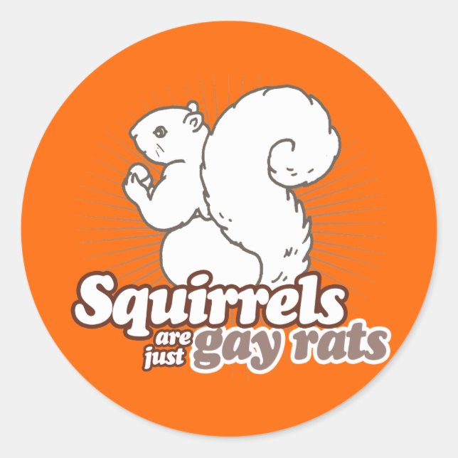 SQUIRRELS SIND EINFACH GAY RATS RUNDER AUFKLEBER (Vorderseite)