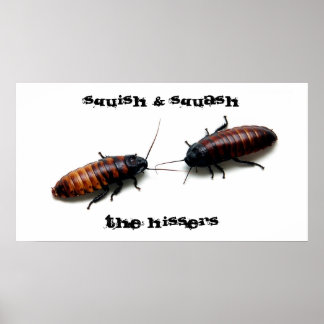 Squish & Squash, The Hissers Poster
