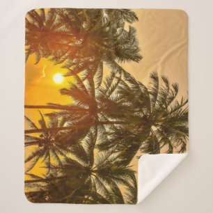 Sri Lanka Beach Sunset View Sherpadecke