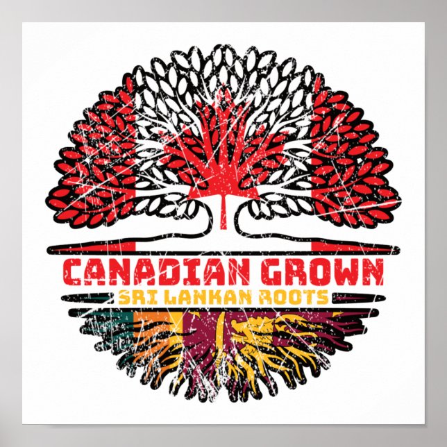Sri Lanka: Kanadische Baumwurzeln Poster (Vorne)