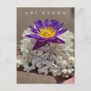 Sri Lanka Tempel-Blume mit Postkarte