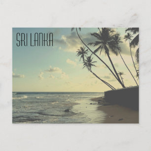 Sri Lanka Turtle Beach Postcard Postkarte