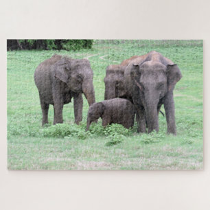 sri-lankische Elefantenfamilie Puzzle
