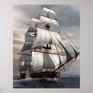 SS-Savanne Poster