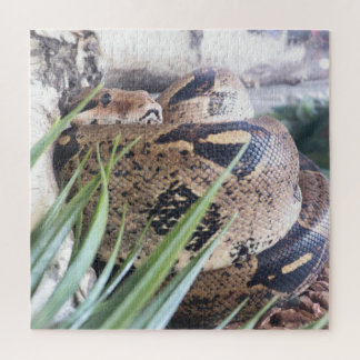 Sssnooze Puzzle