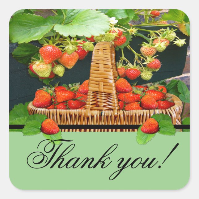 Sstrawberry Basket ~Danke Square Sticker (Vorderseite)