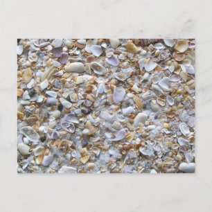 St. Augustine Beach Sand und Tiny Muscheln Postkarte