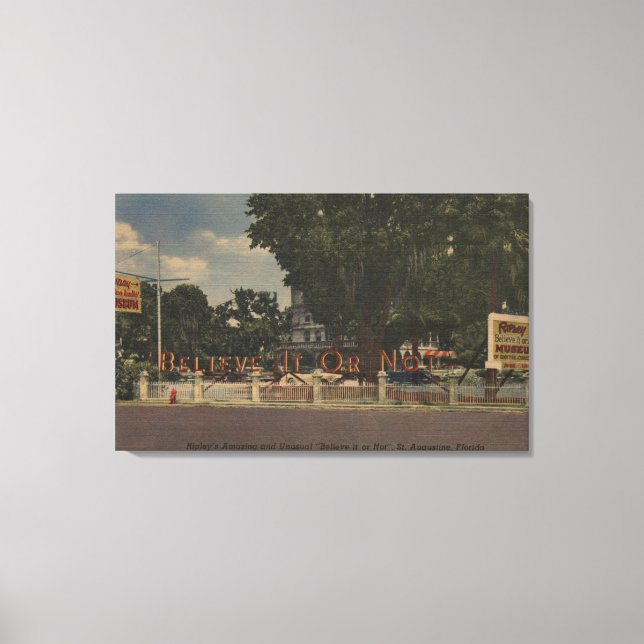 St. Augustine, FL - Ripley's Glauve-it-or-Not Leinwanddruck (Vorderseite)