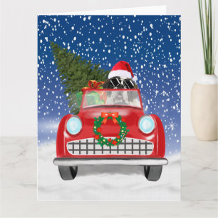St. Bernard Dog Autofahrer im Schnee Weihnachten Karte