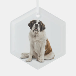 St. Bernard Dog Tier Ornament Aus Glas