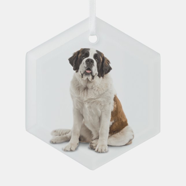 St. Bernard Dog Tier Ornament Aus Glas (Vorderseite)